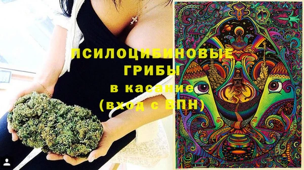 метадон Заволжье