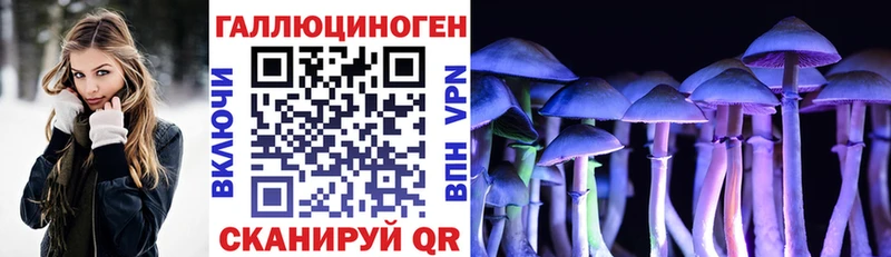 цены наркотик  Дзержинск  гидра рабочий сайт  Псилоцибиновые грибы мухоморы 