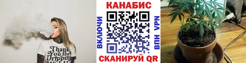 магазин продажи наркотиков  Дзержинск  Шишки марихуана Amnesia 